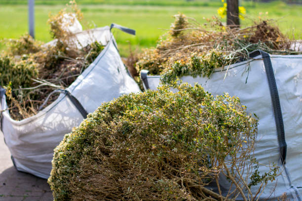 Best Dumpster Rental Services  in Washington Terrace, UT